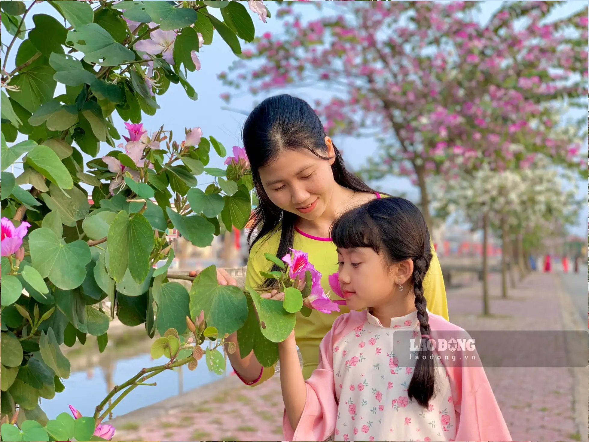 Chị Nguyễn Thị Hoa (Hải Dương)