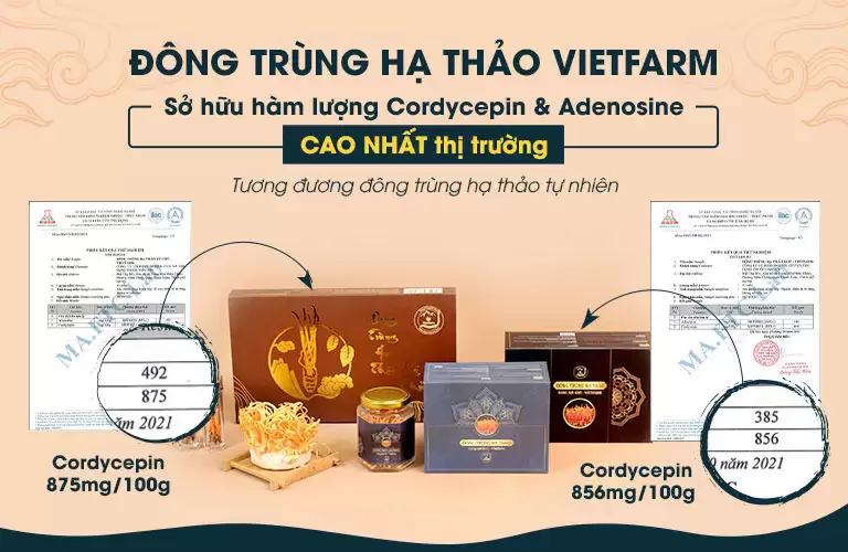Yến Đông Trùng Hạ Thảo Vietfarm