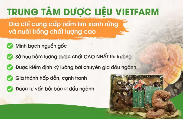 Li Kỳ 1001 Câu Chuyện “Thoát” Bệnh Hiểm Nghèo Khó Ngờ Chỉ Từ Cây Nấm Lim Xanh!